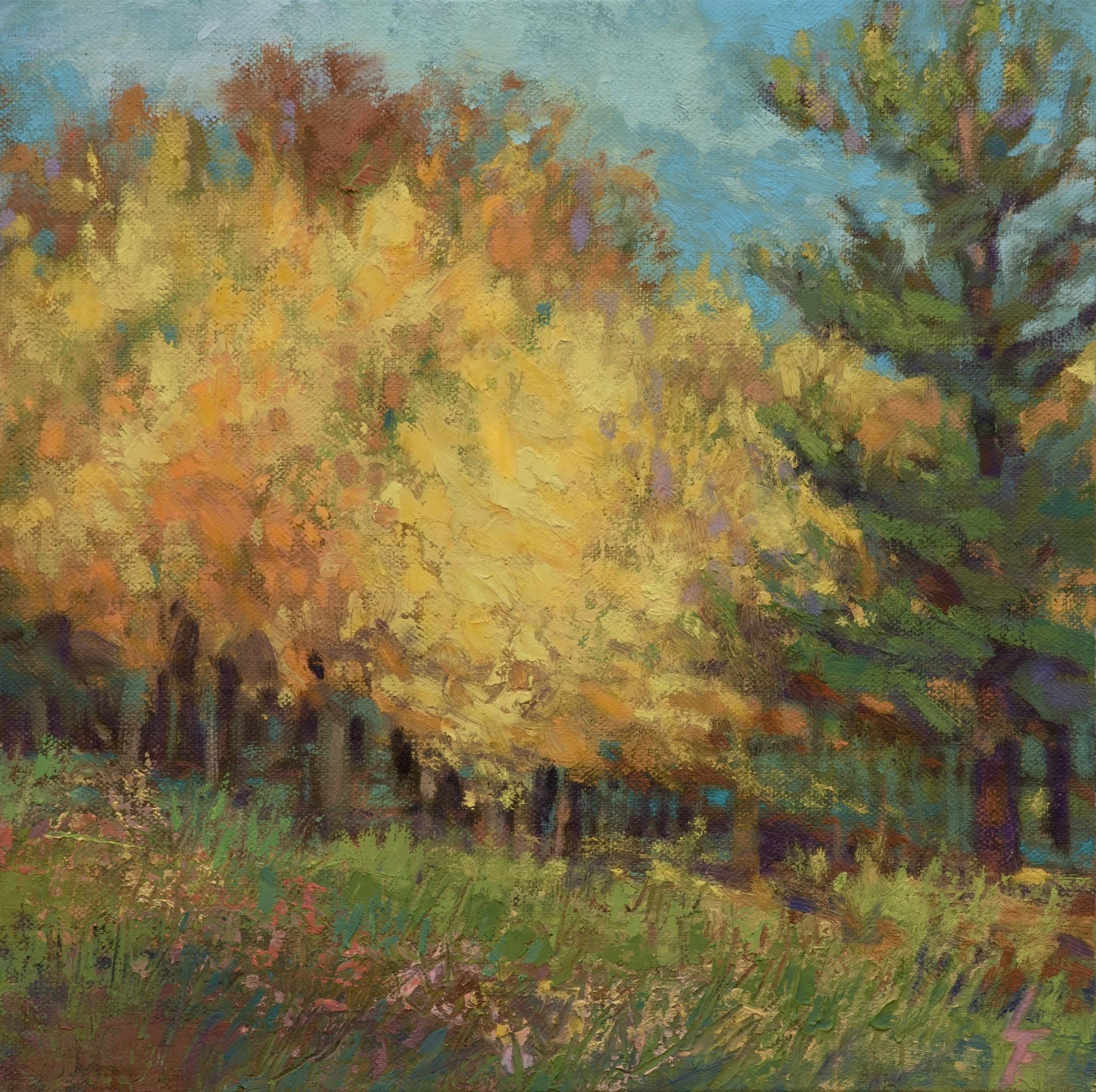 Homage to the Ginkgo, Virginia State Arboretum