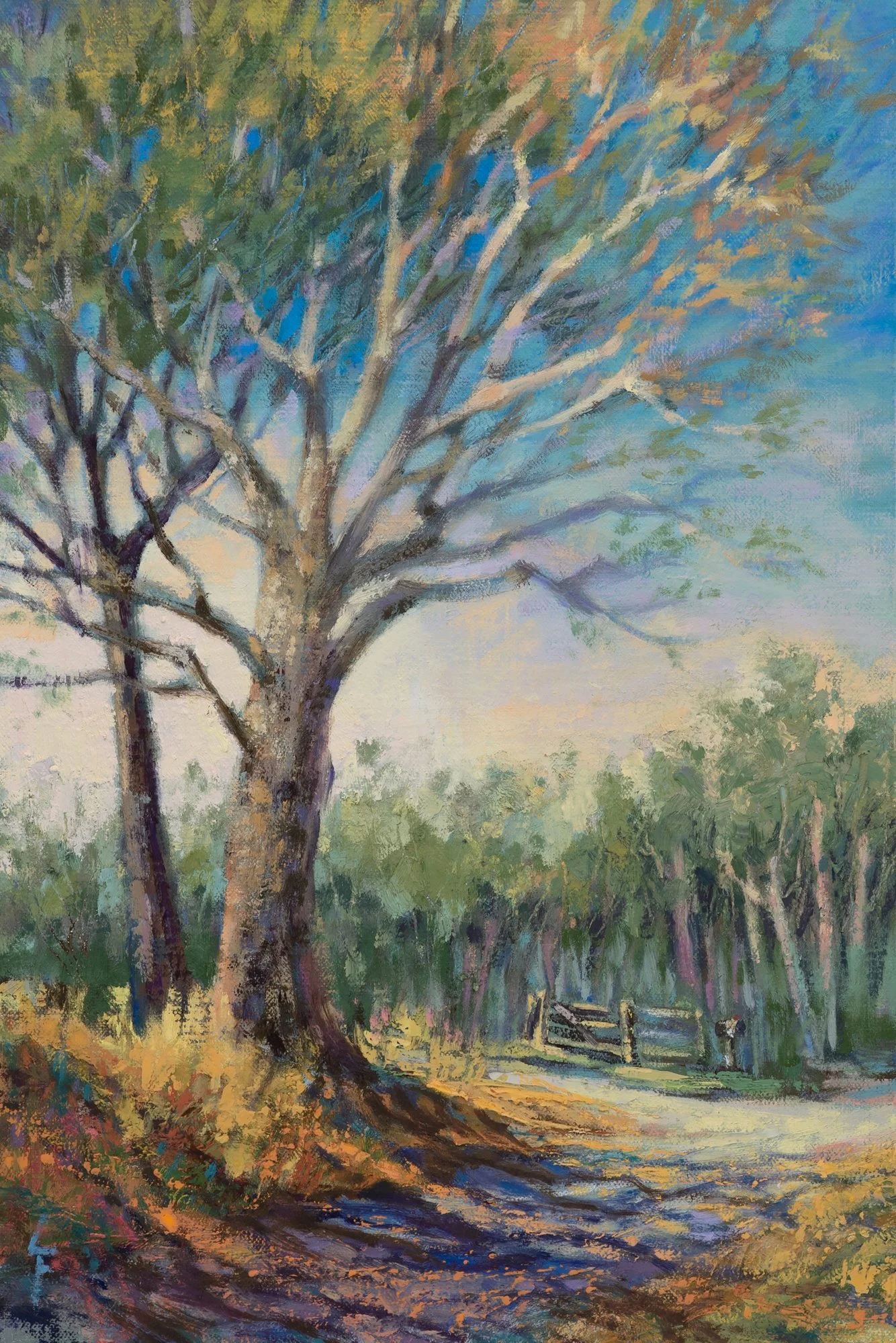 Wandering a Secluded Byway