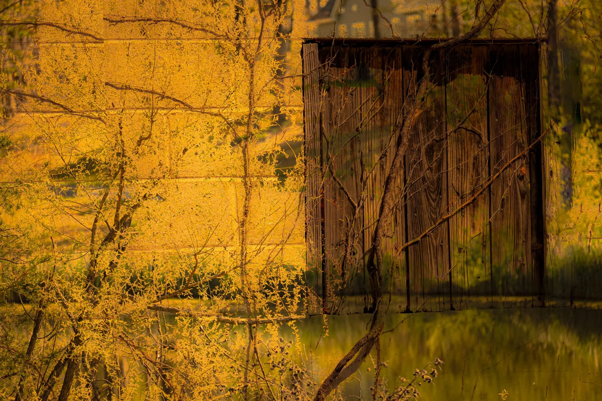 Country Quiet