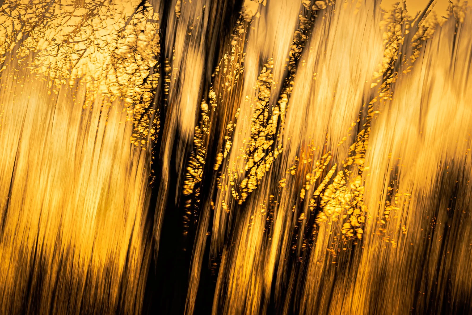 Golden Hour