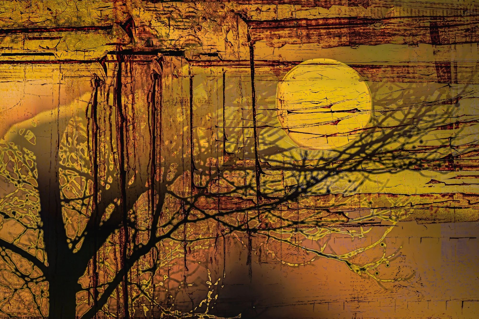Rustic Reverie