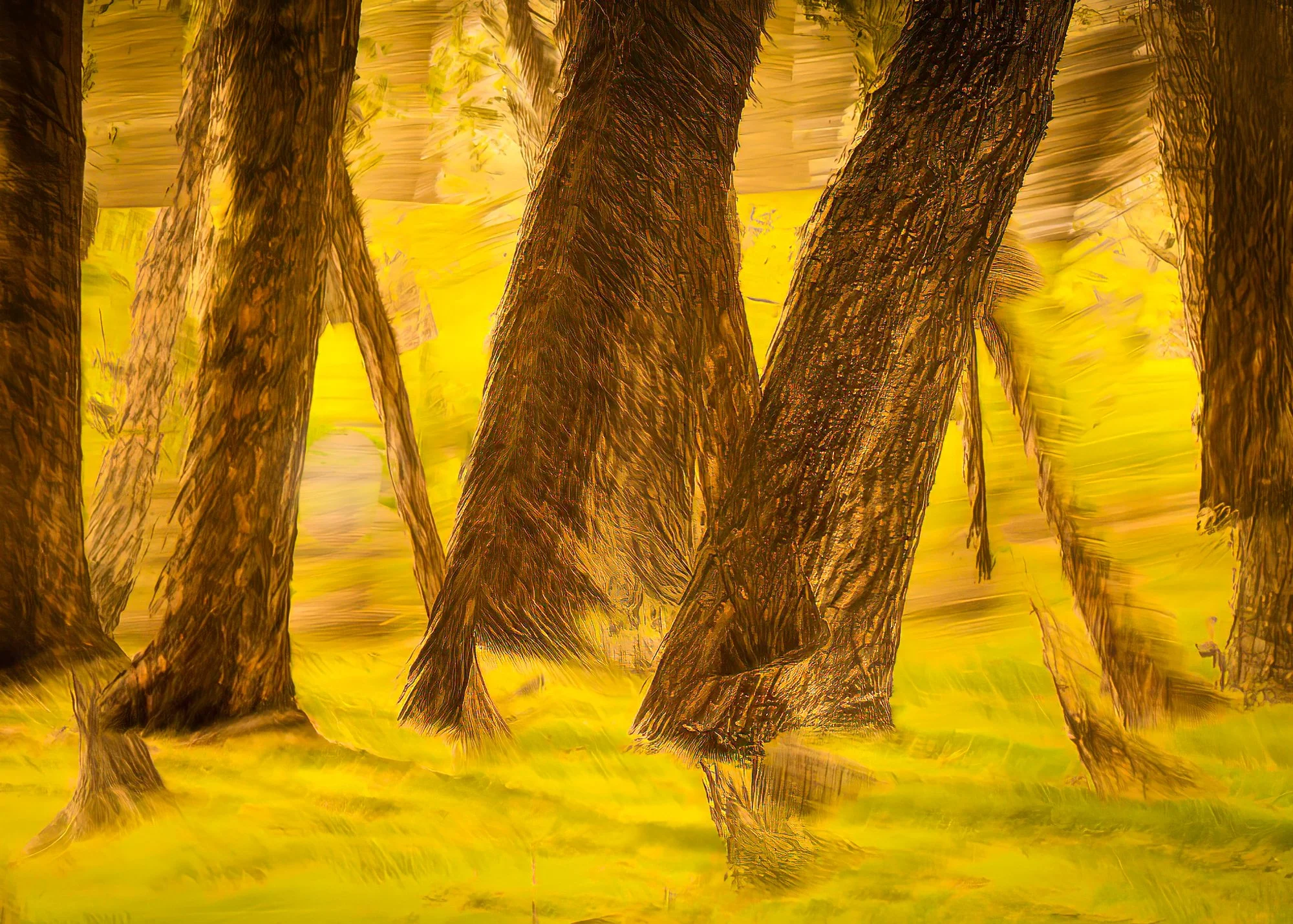 Woodland Waltz