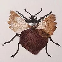 Onglet_Naturaliste.jpg