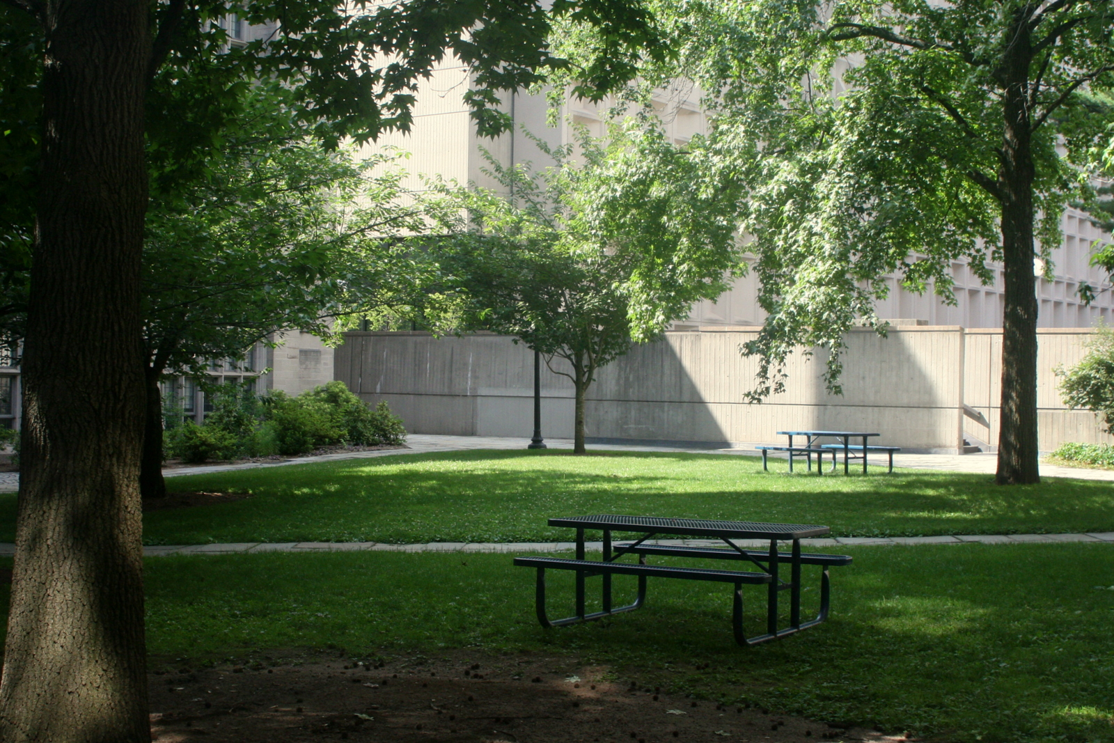 The courtyard outside the lab. Picnic spot!?