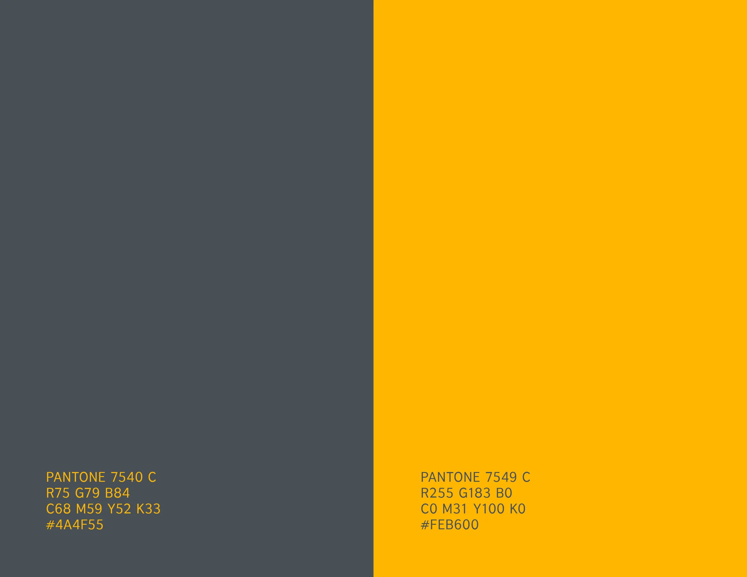 Ilgar-Talibov-Branding-Empire-Colors.jpg