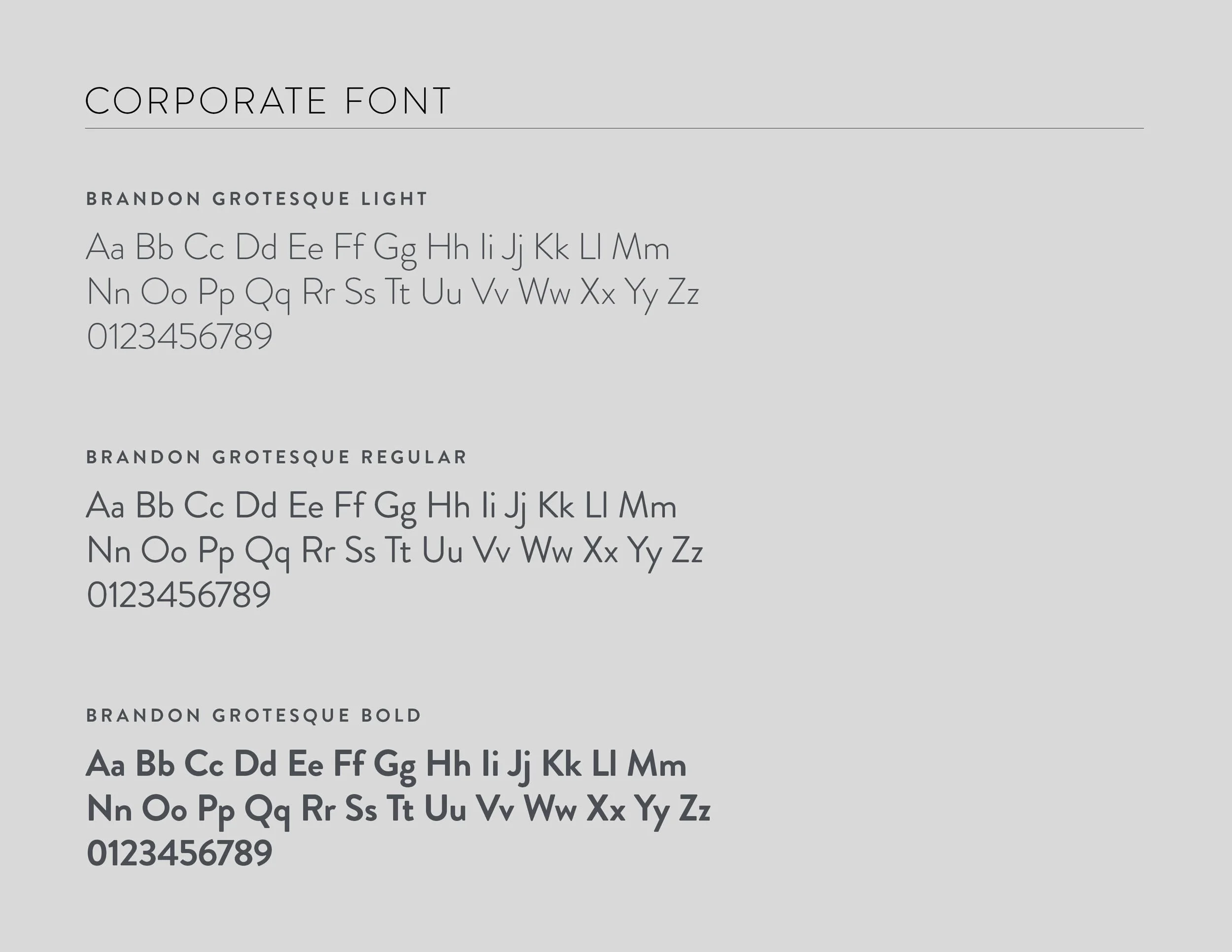 Ilgar-Talibov-Branding-AgoraGallery-Fonts.jpg