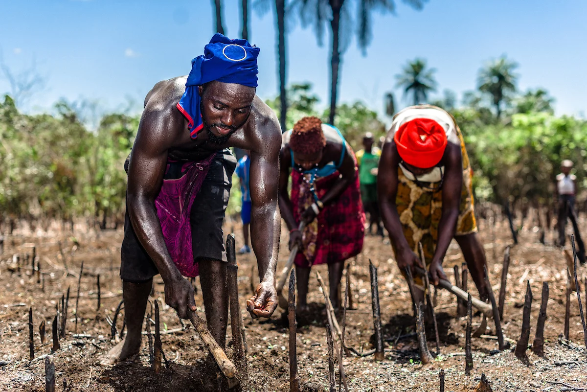 Cafod Project - Lungi Community - Kembia-6036.jpg