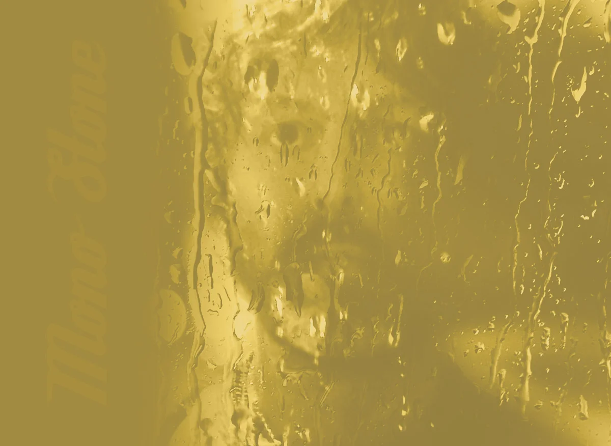 MonoPortrait5 copy.jpg