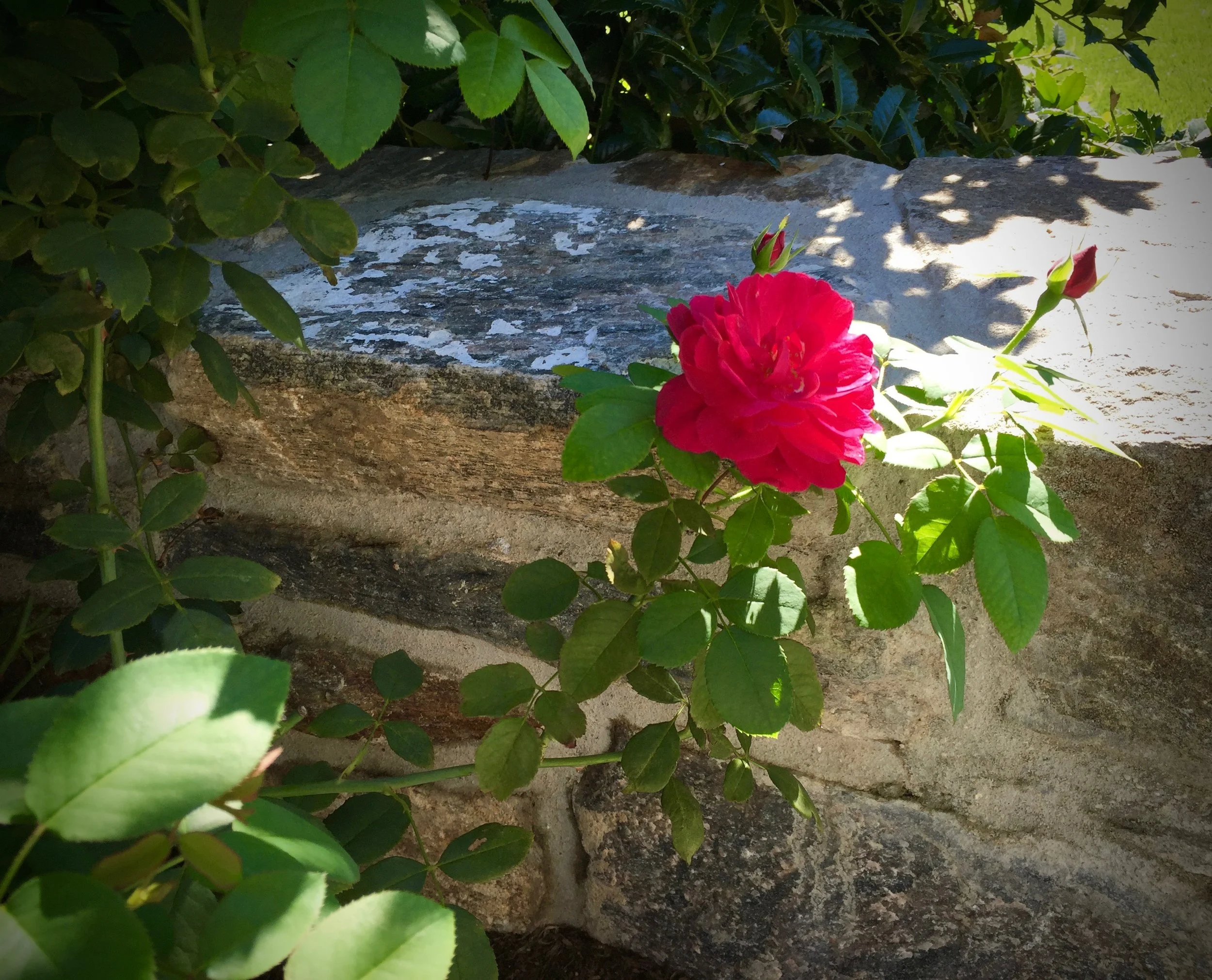 rosaliasanni.com-stonehouse 3.jpg