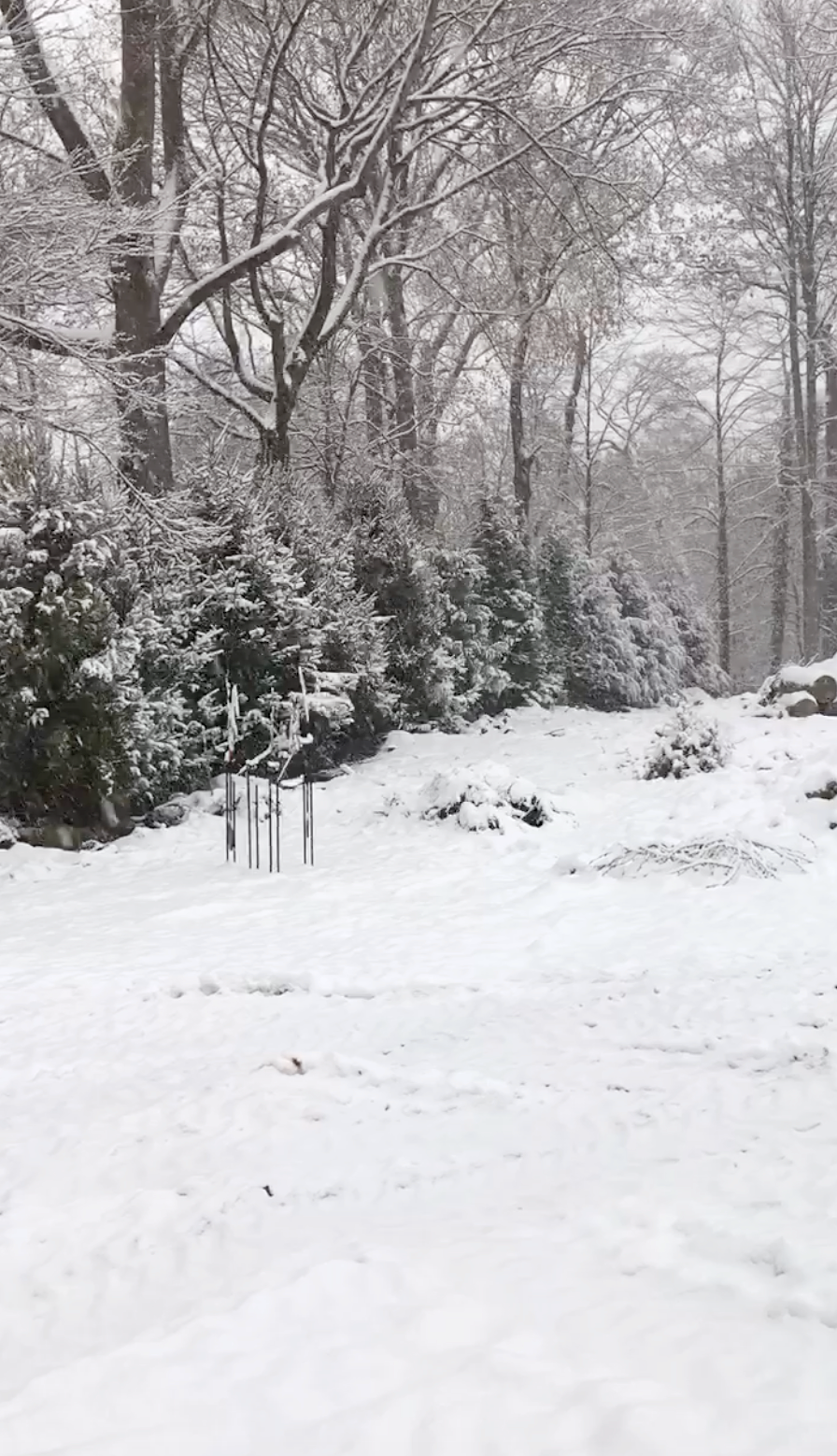 Last planting for 2017 during our first snow....over 500 linear feet of evergreen screening trees. So much fun to play in the snow that day!