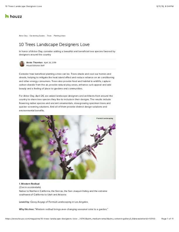 1 10 Trees Landscape Designers Love.jpg