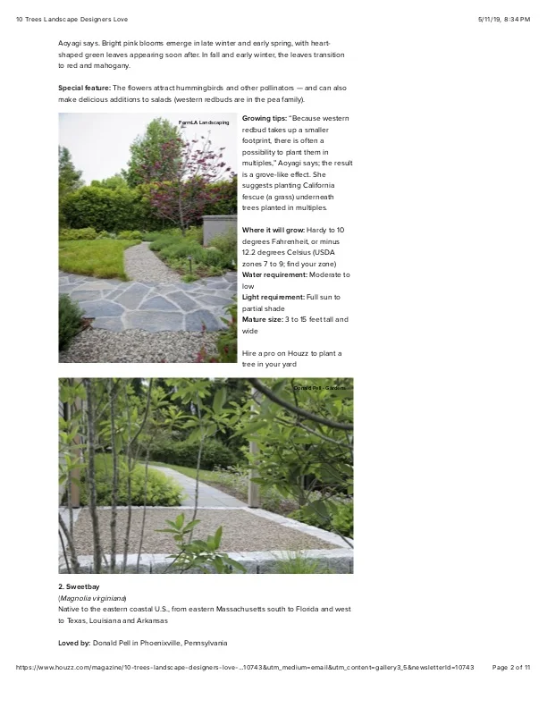 2 10 Trees Landscape Designers Love.jpg