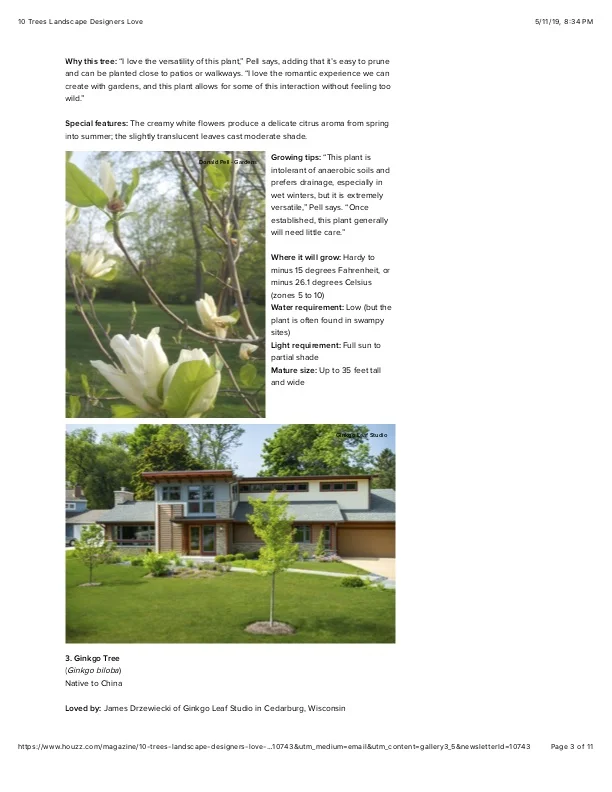 3 10 Trees Landscape Designers Love.jpg