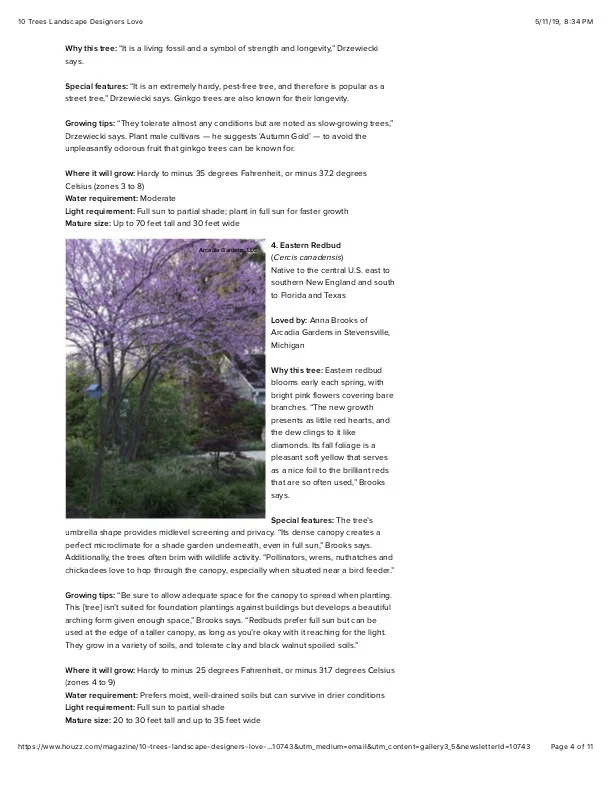 4 10 Trees Landscape Designers Love.jpg