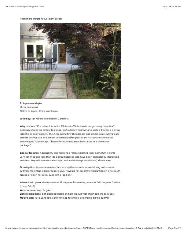5 10 Trees Landscape Designers Love.jpg