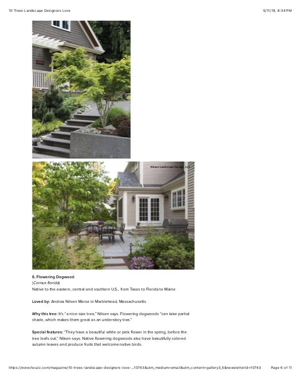 6 10 Trees Landscape Designers Love.jpg