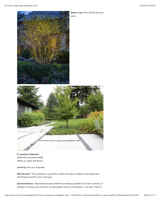 8 10 Trees Landscape Designers Love.jpg