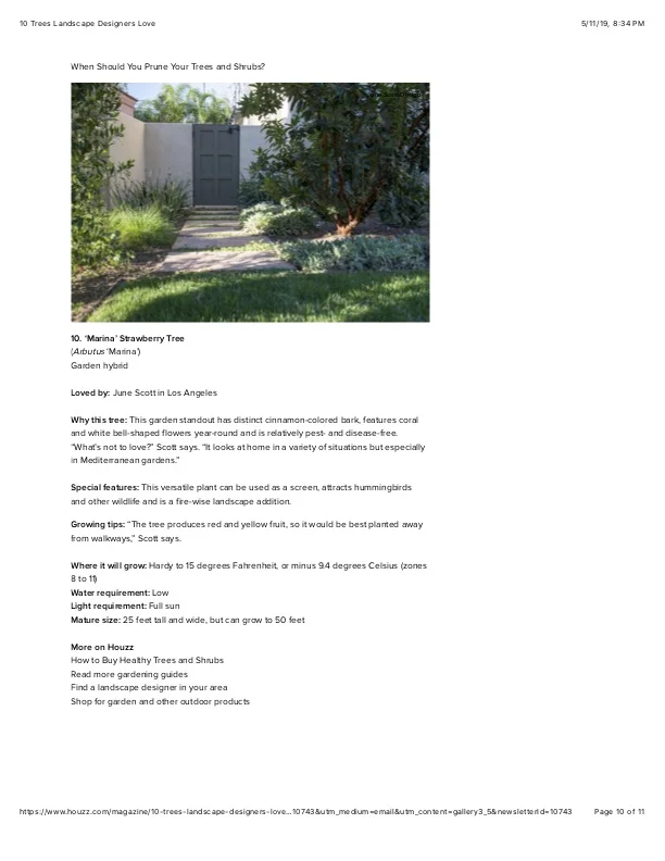10 10 Trees Landscape Designers Love.jpg