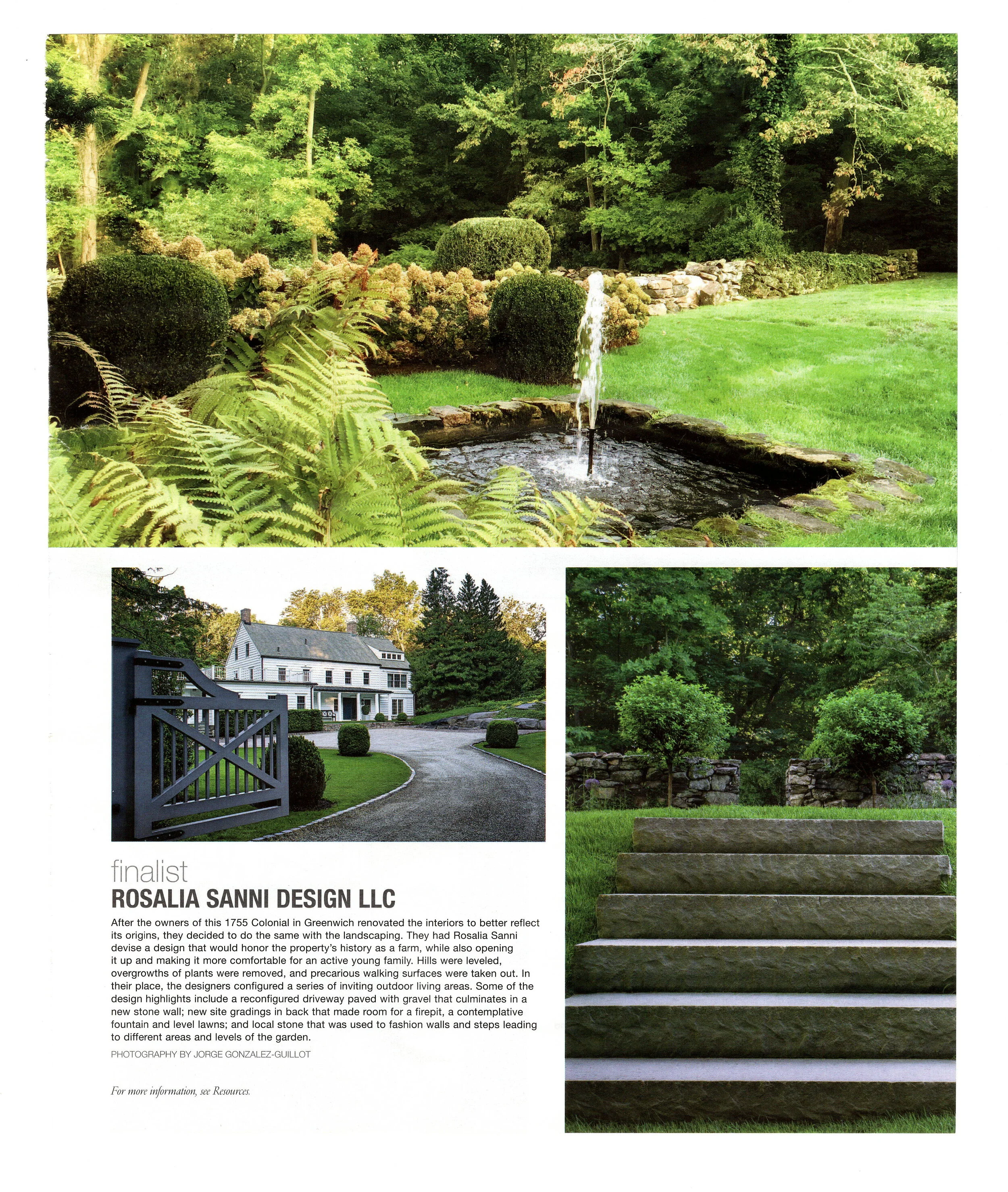 RSD IDA Award 2019.jpeg