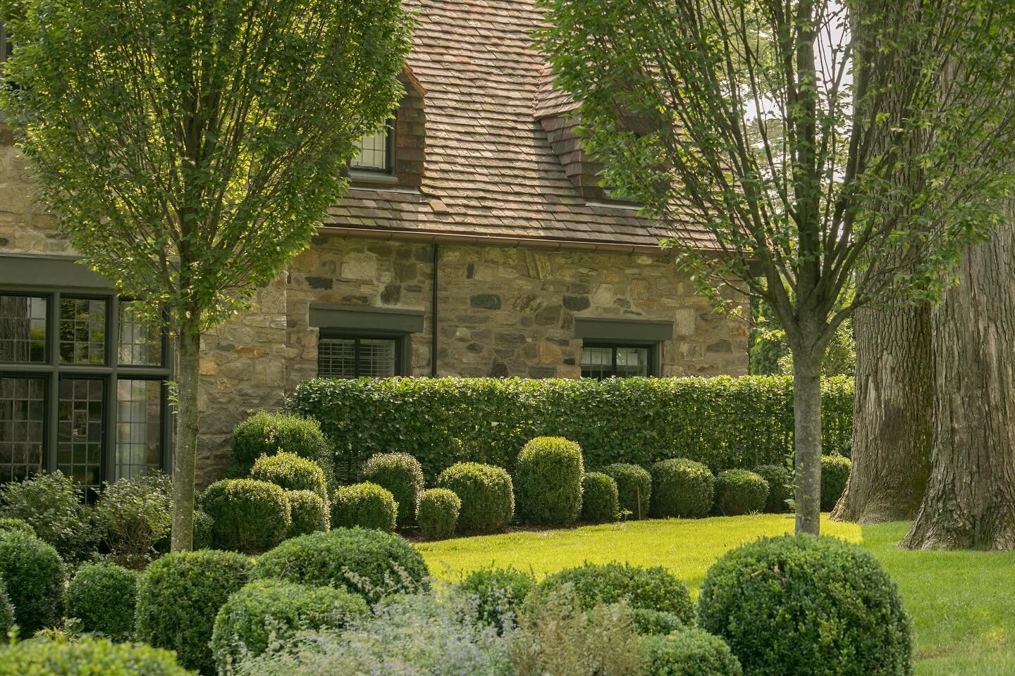 Dreaming of plantings and days outside in the sun more now than ever after such a cold and rainy early spring. We are so close.  At this house entry, we put evergreen sculpted boxwoods, hornbeam trees, and a sense of seasonal changes with pockets of 