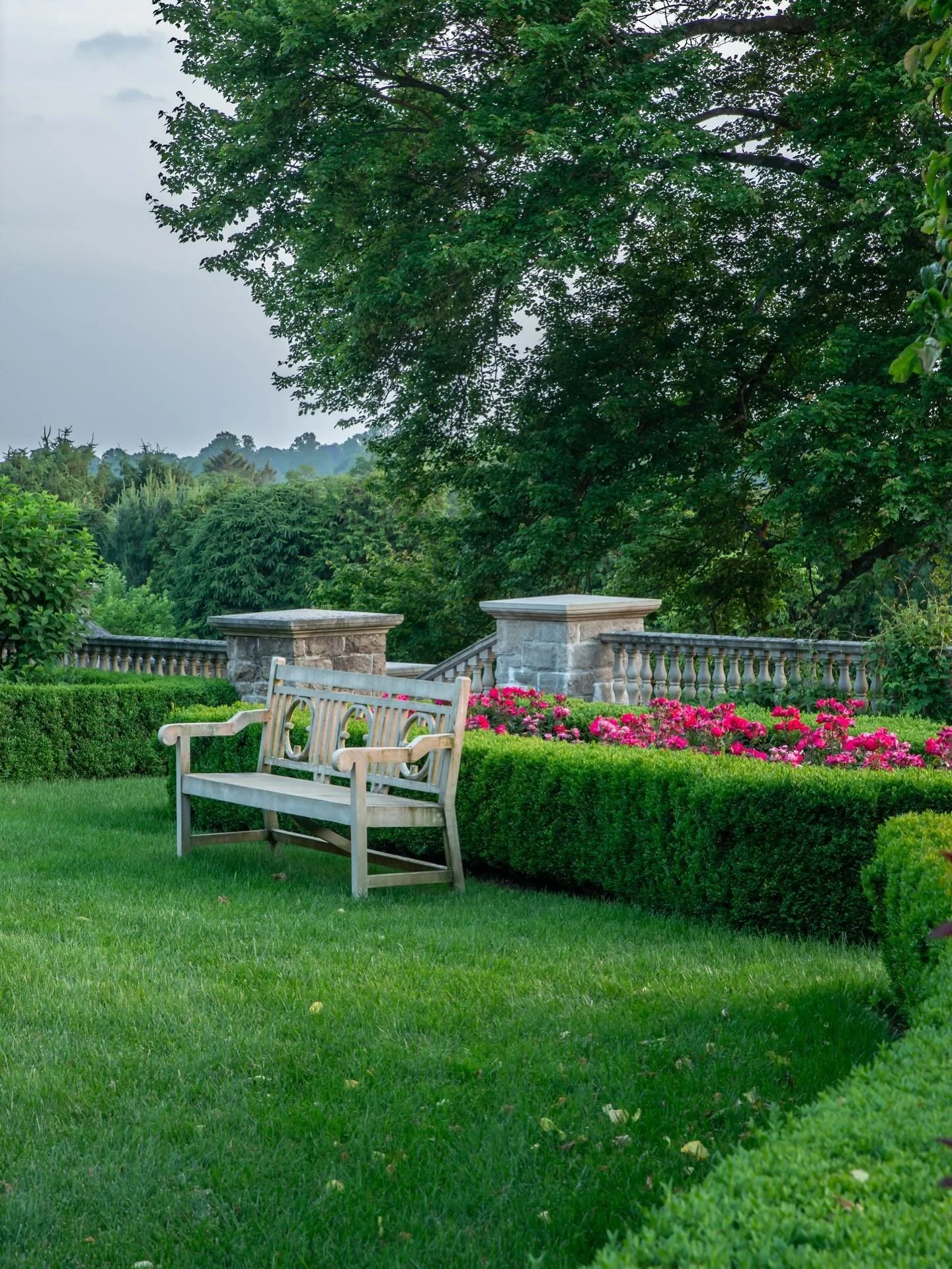 A garden that invites you to pause, even if for just a moment. 🌿 This bench, framed by clipped evergreens, a nurture maple tree,  and a seasonal splash of color, is more than a seat &mdash; it&rsquo;s a moment of calm set against timeless stonework 