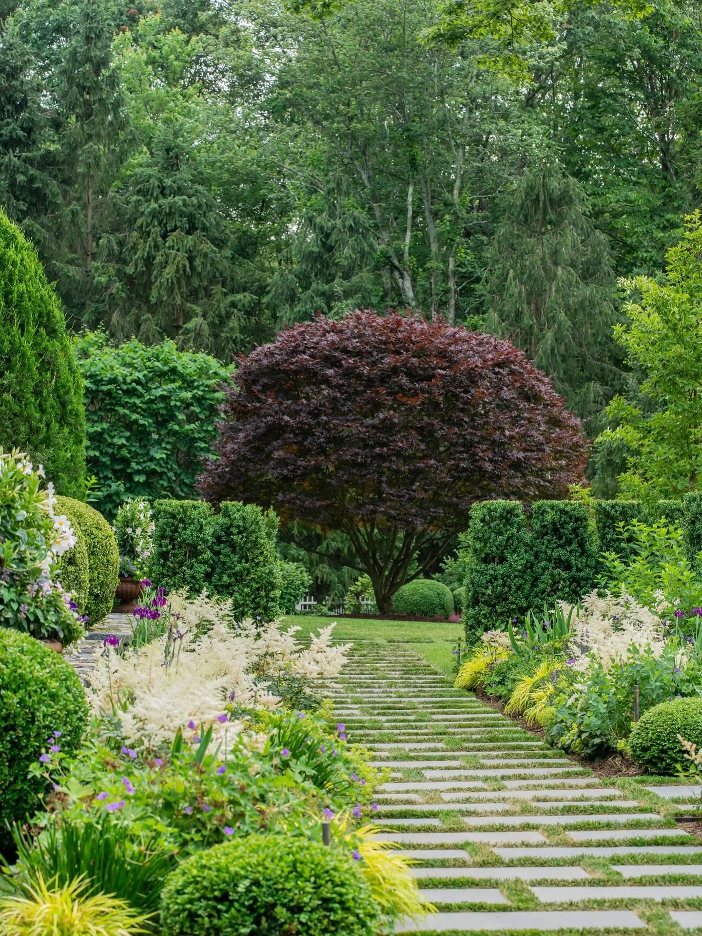 Every path holds a little mystery. 🌿✨ This stone walk leads through layers of color and texture, drawing you forward to the sculptural tree beyond. A garden designed to spark curiosity, inviting you to see what&rsquo;s waiting at the end.
@jonathanh