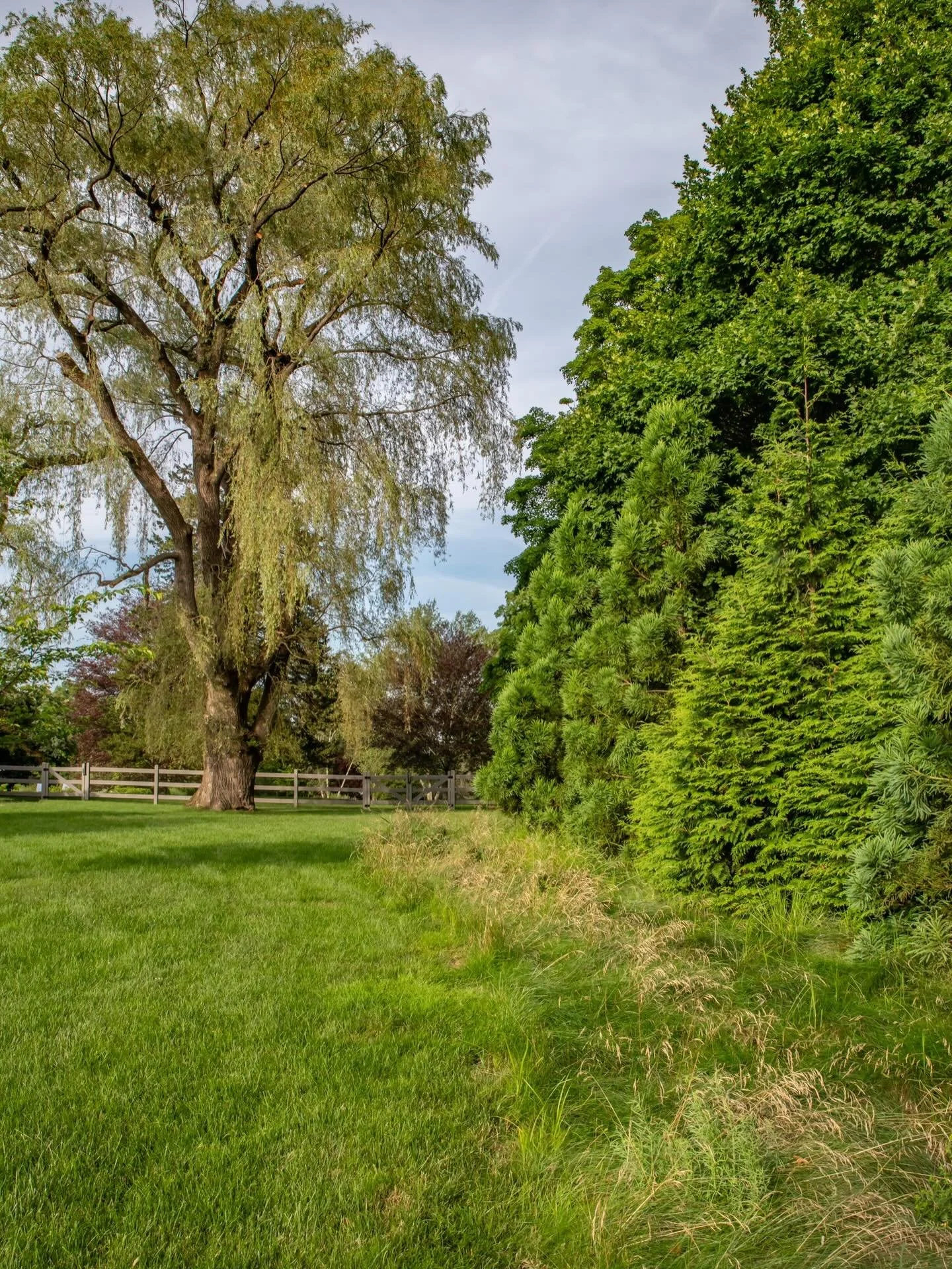 Soft edges, layered greens, and a mature willow anchoring the landscape &mdash; all framed by a post-and-rail fence.
A natural transition between lawn, meadow, and woodland. 

Team credits @la_crab @lifeatbartlett 
Photo @jorgeggphotography 

#Landsc