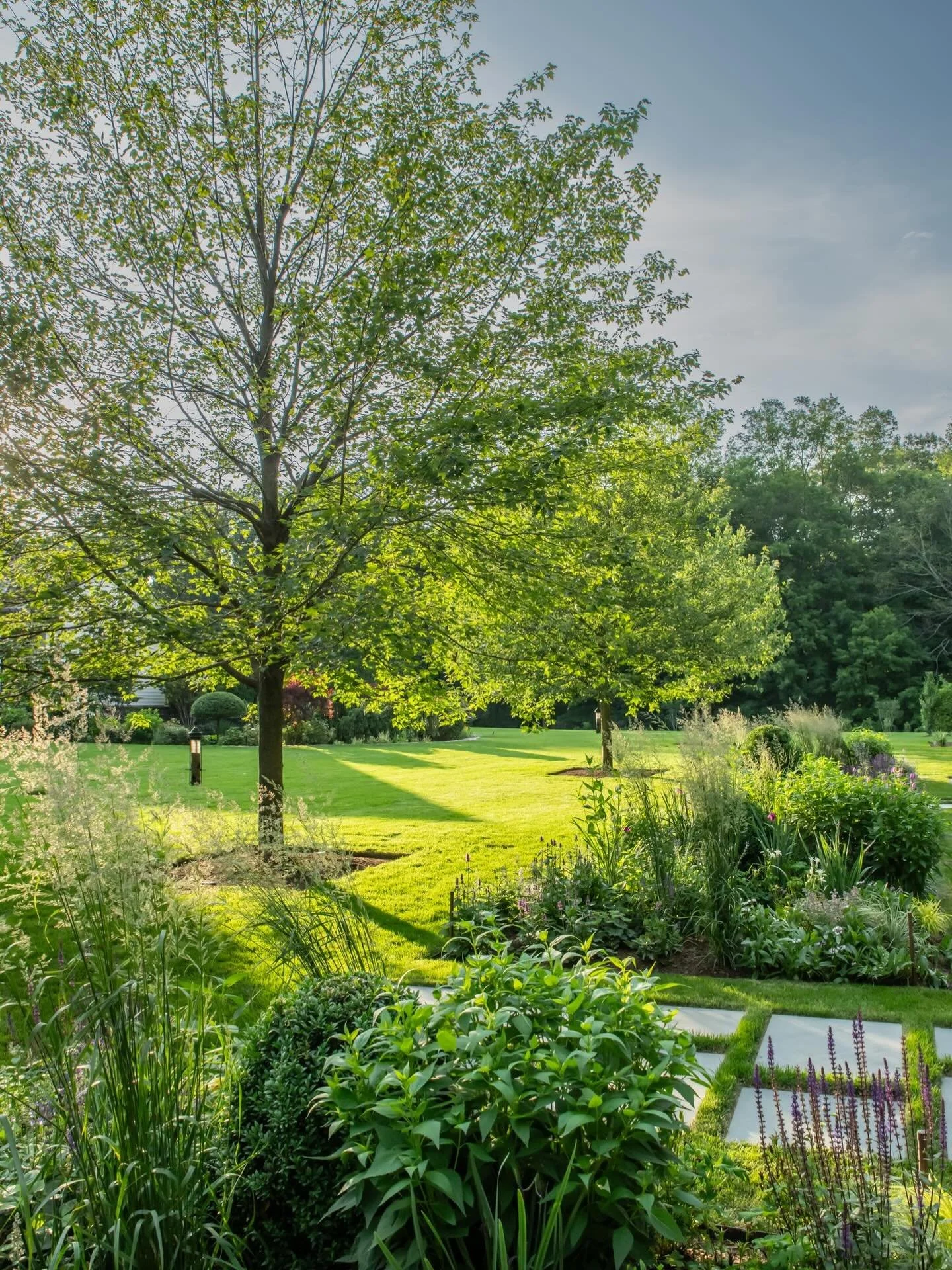 June border, in layers of green, flowers and sunlight.

A little summer dreaming 

Photo @jorgeggphotography 

#GardenDreaming #PerennialBorder #LayeredLandscape  #GardenInspiration  #LandscapeDesign
