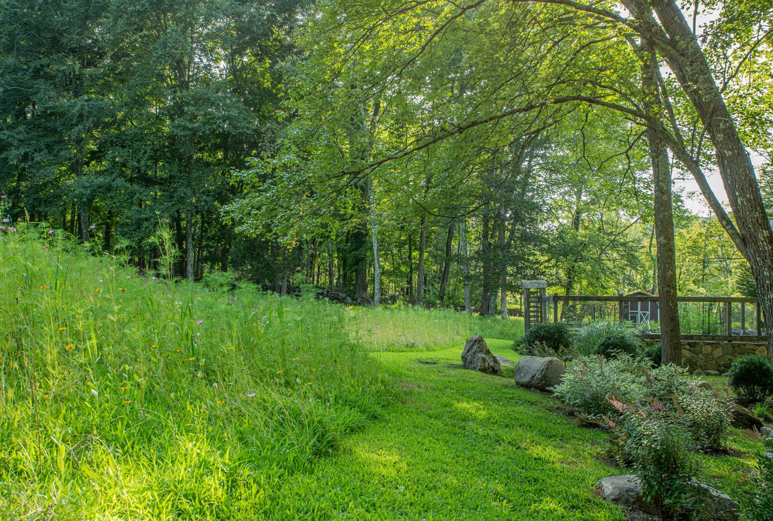 rosaliasanni.com+9 wildflower meadow.JPG