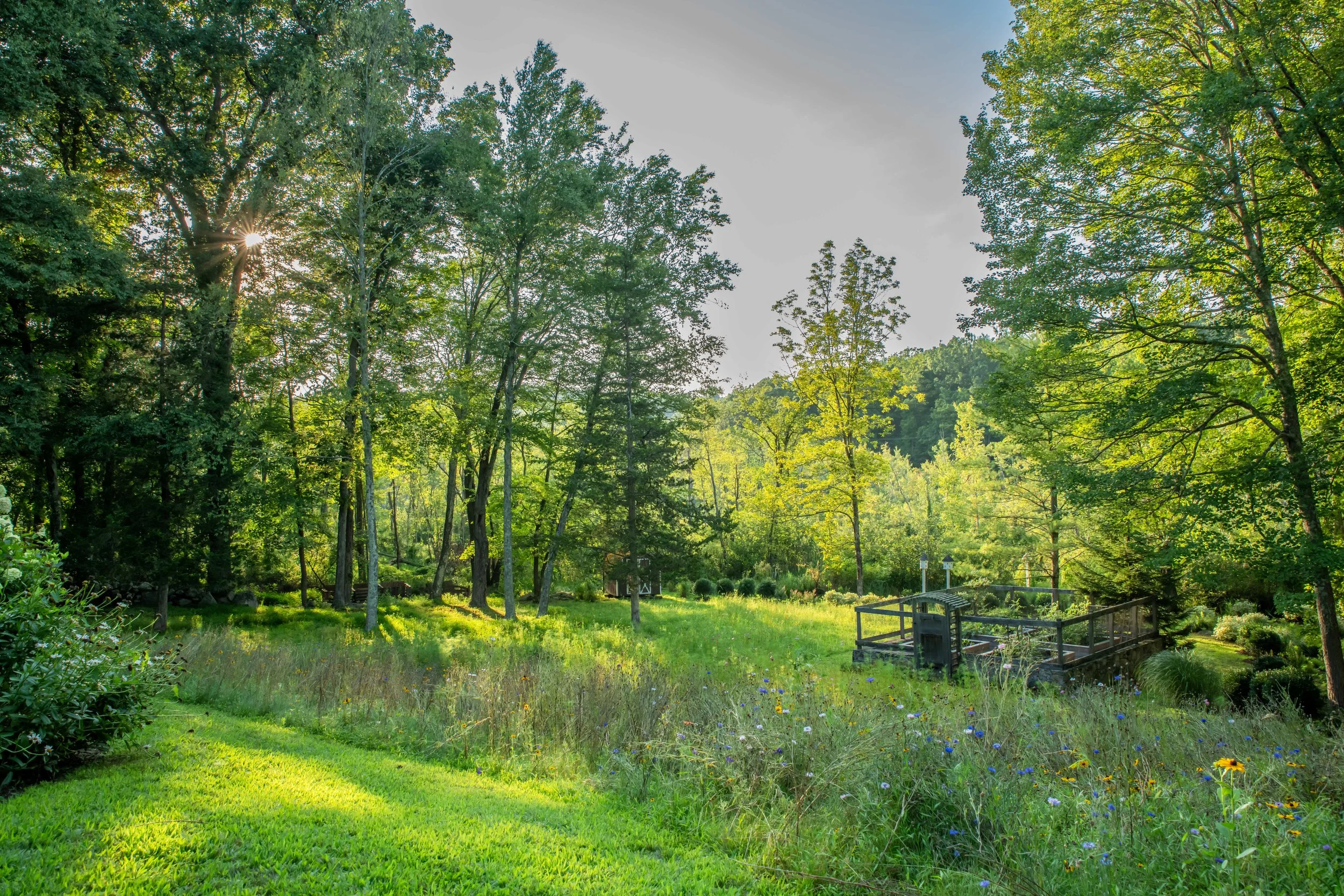 rosaliasanni.com+11 wildflower meadow.JPG