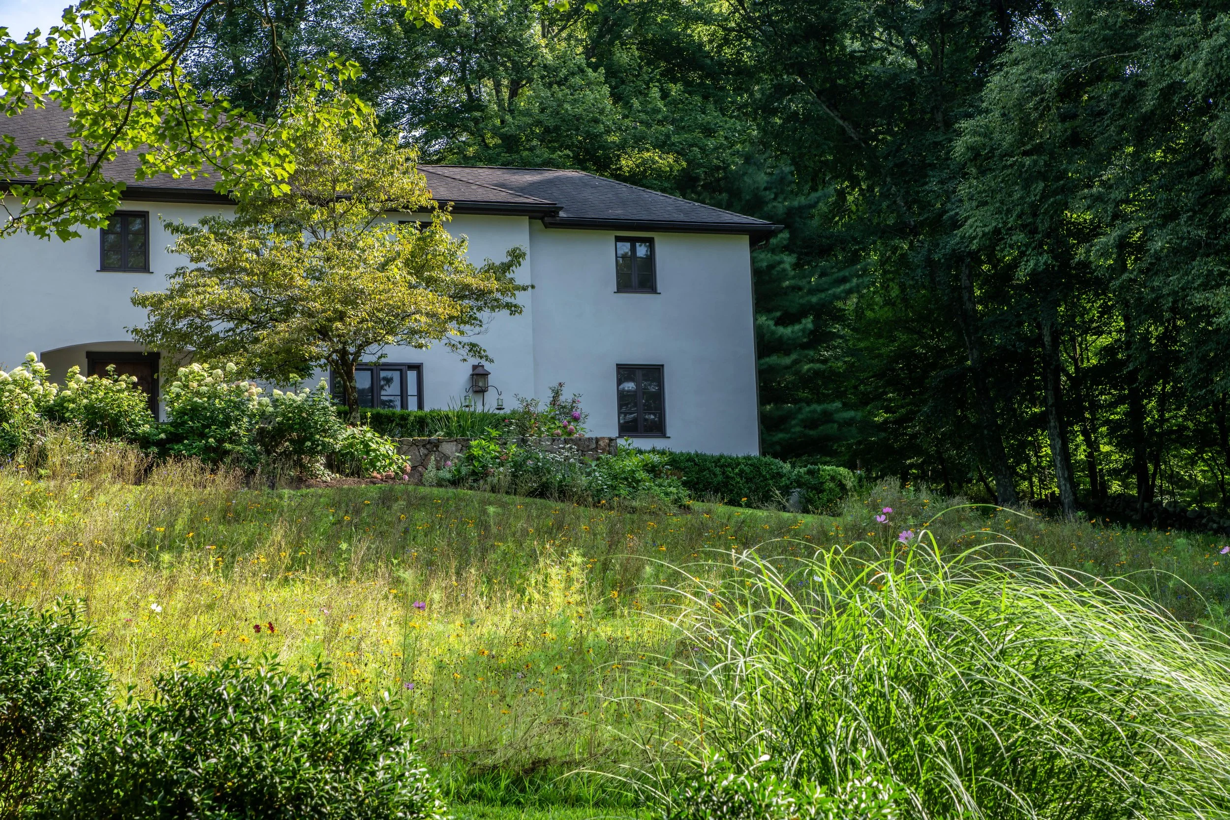 rosaliasanni.com+14 wildflower meadow.JPG