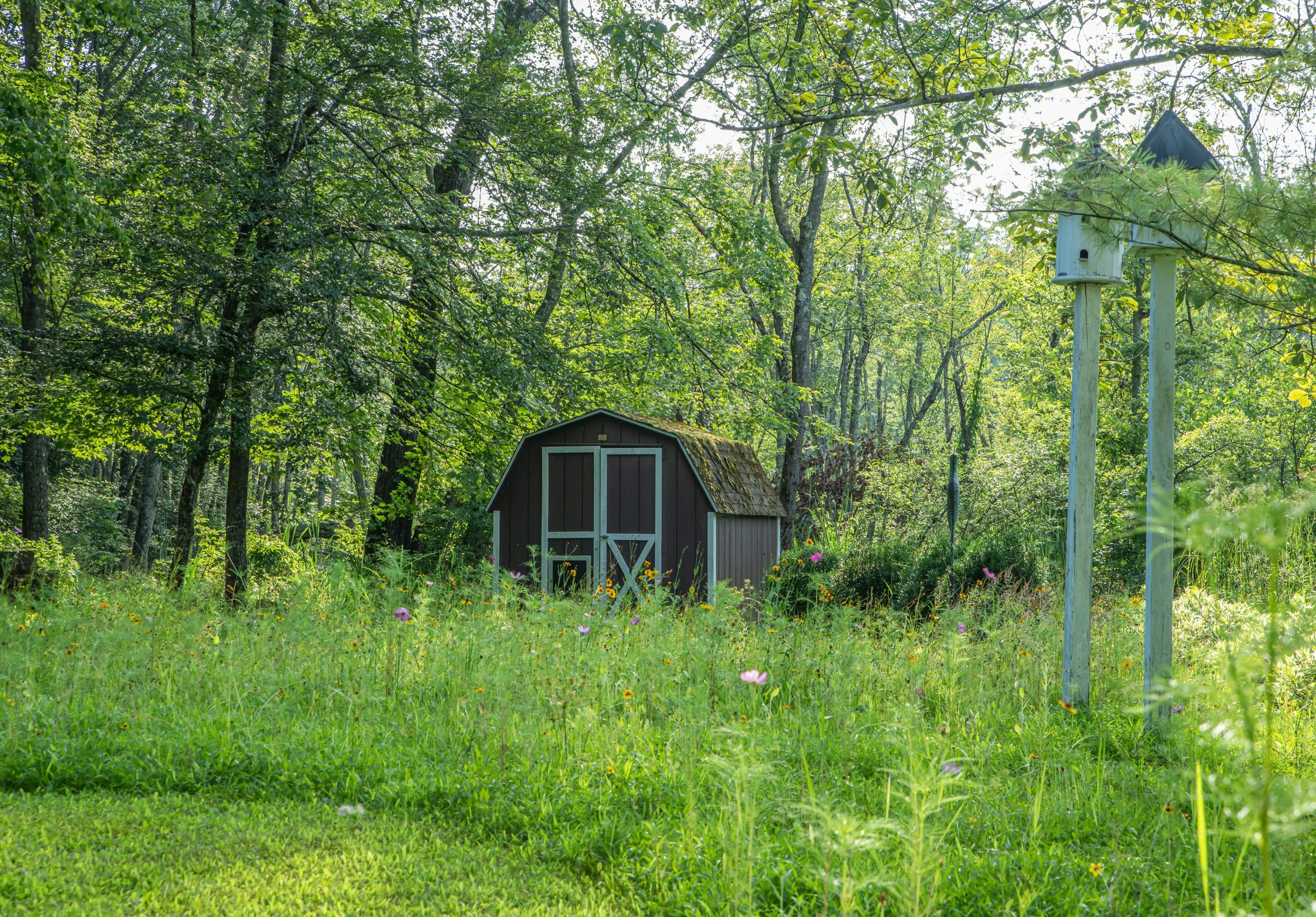rosaliasanni.com+12 wildflower meadow.JPG