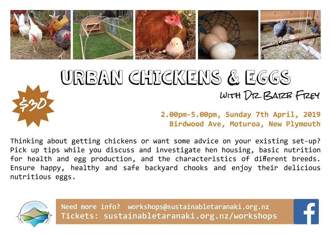 Chickens & eggs workshop 2019 small.jpg