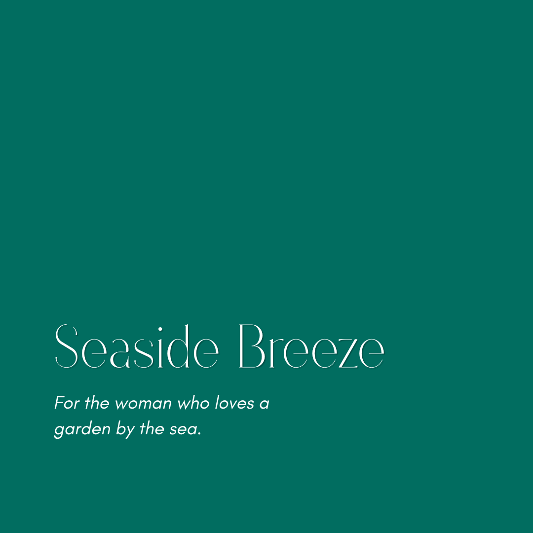 Seaside Breeze Color Palette Guide
