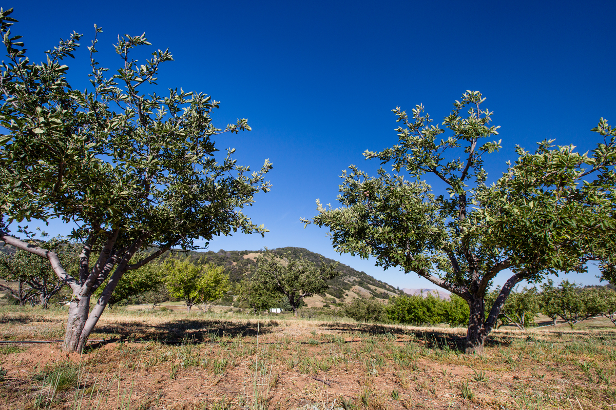 150618_volcan mountain_062.jpg