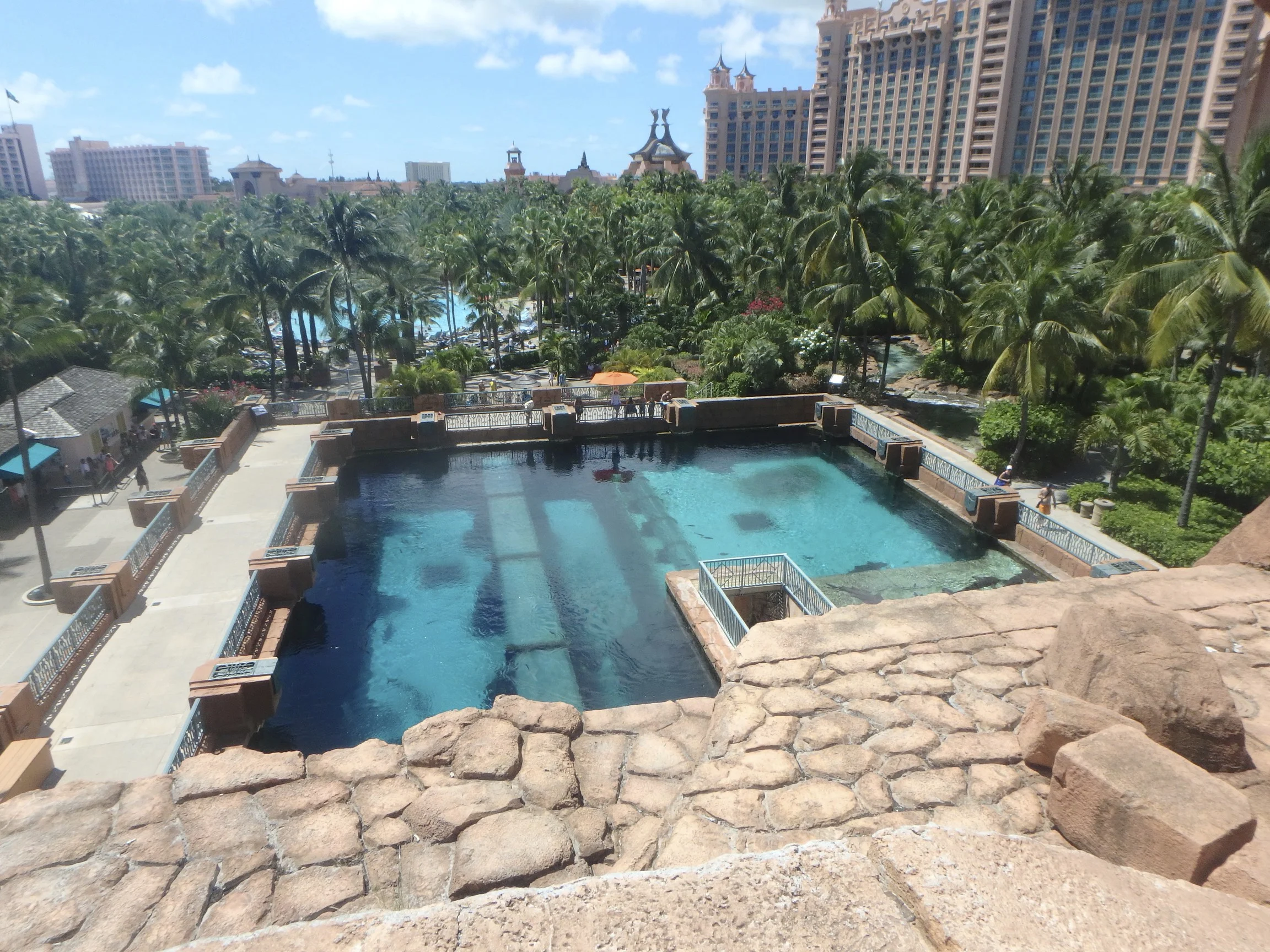Slide into the Shark Tank