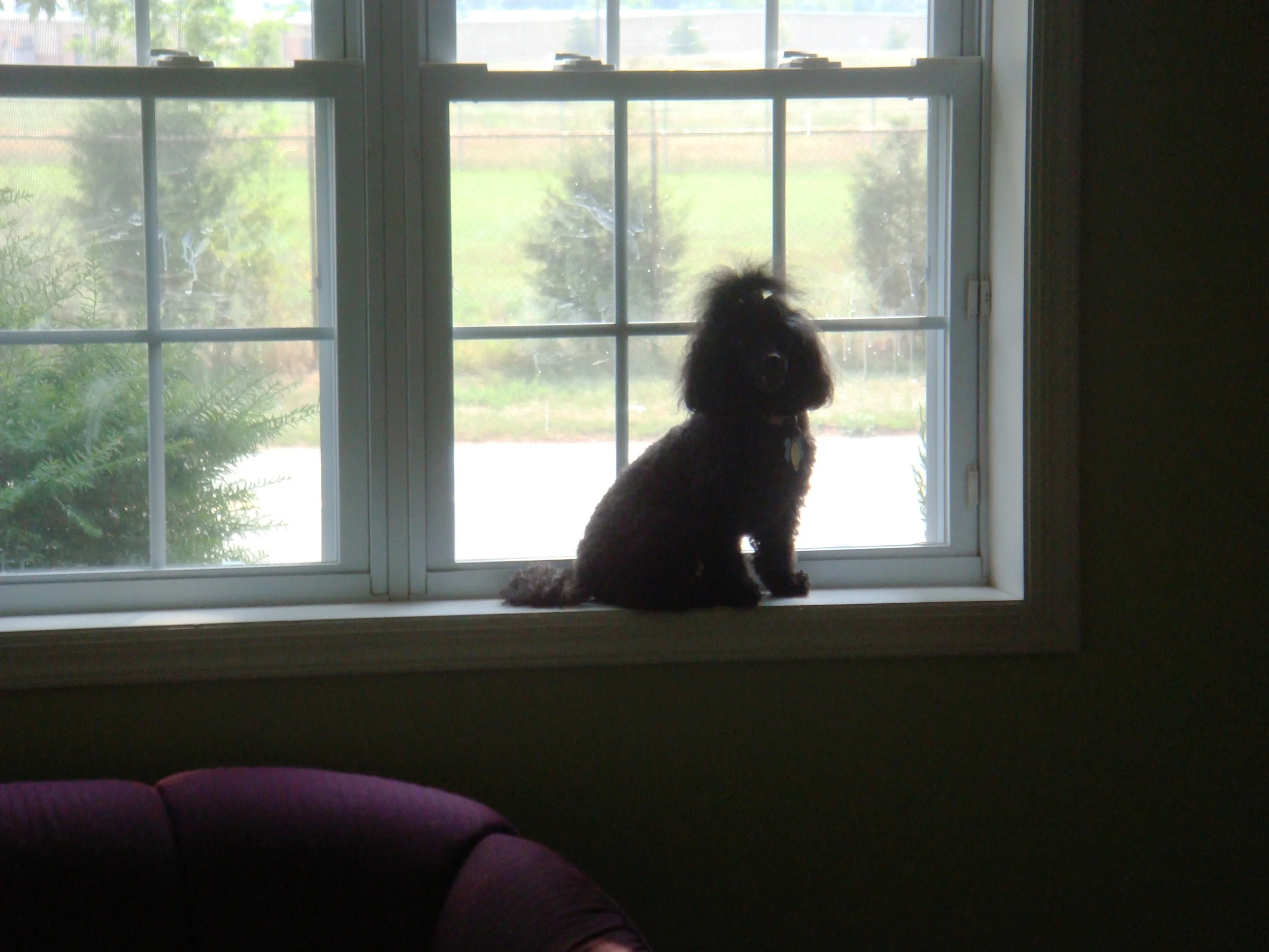 Picture 003.jpg