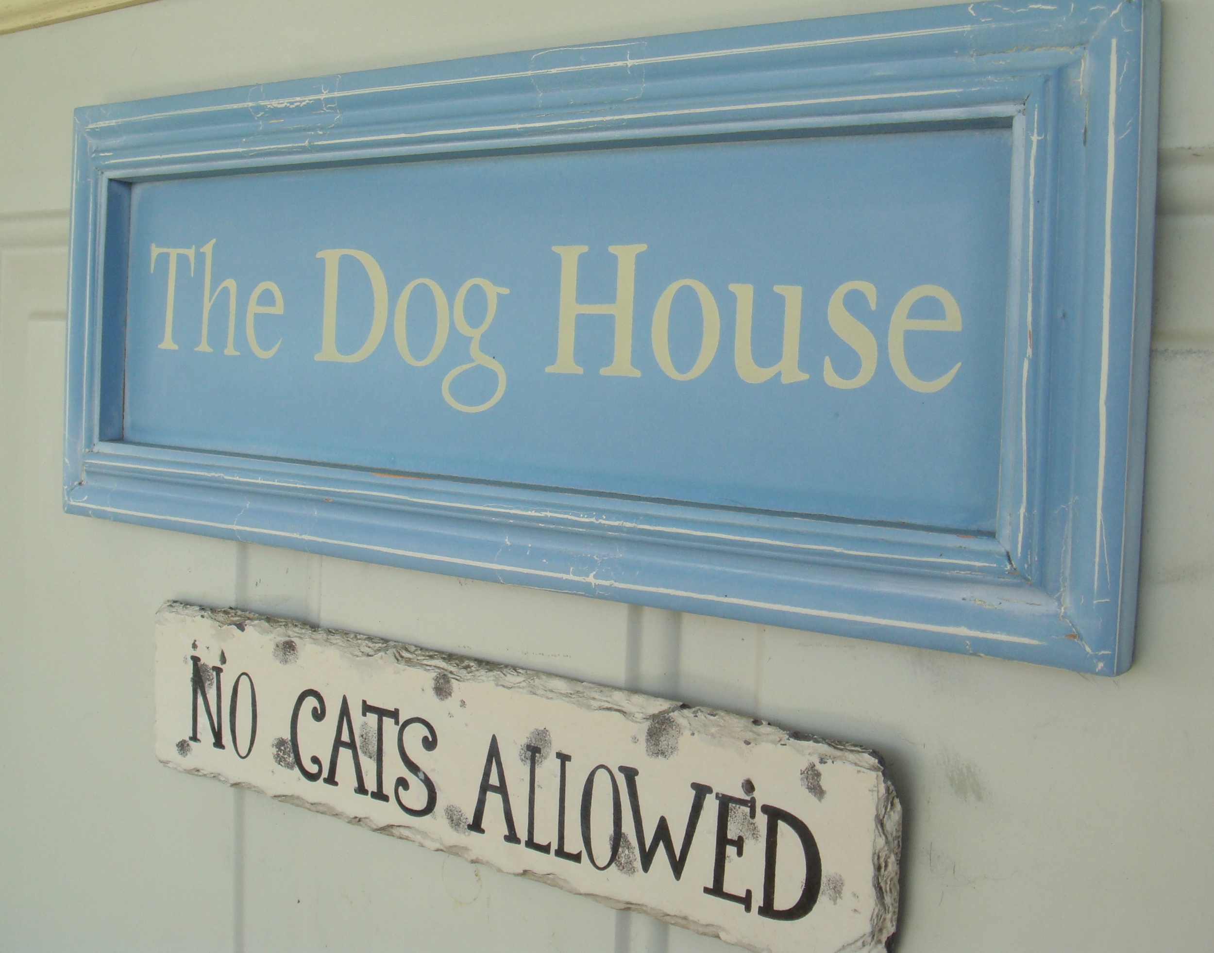 No Cats Allowed!