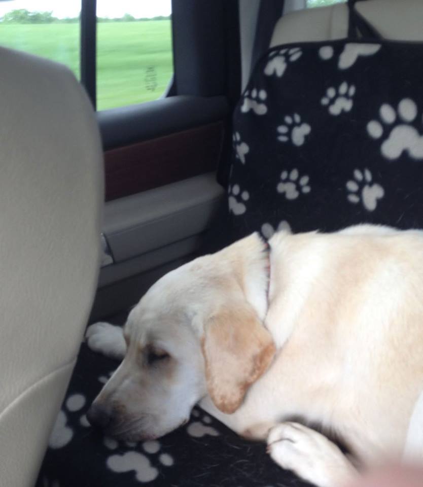   "Wesley asleep in the car 2 minutes after pick up!!! Didn't even make it home."   -Heather Hughes 
