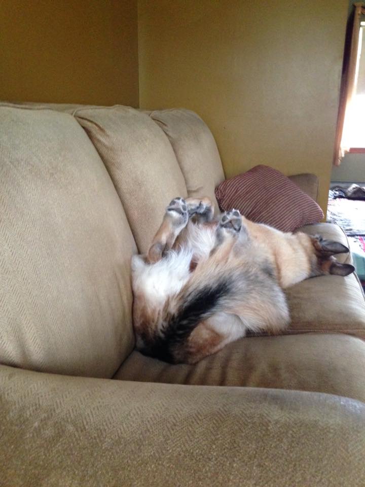 "Phedre's all pooped our!" -Tracey Heffren