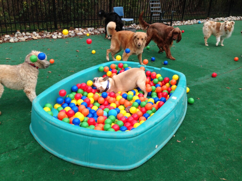 Have A Ball!