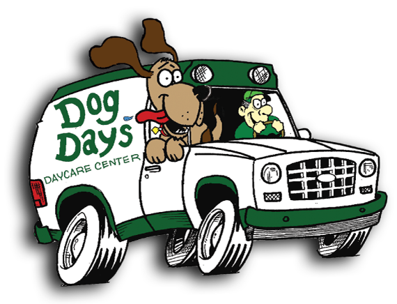 Dog Days Daycare