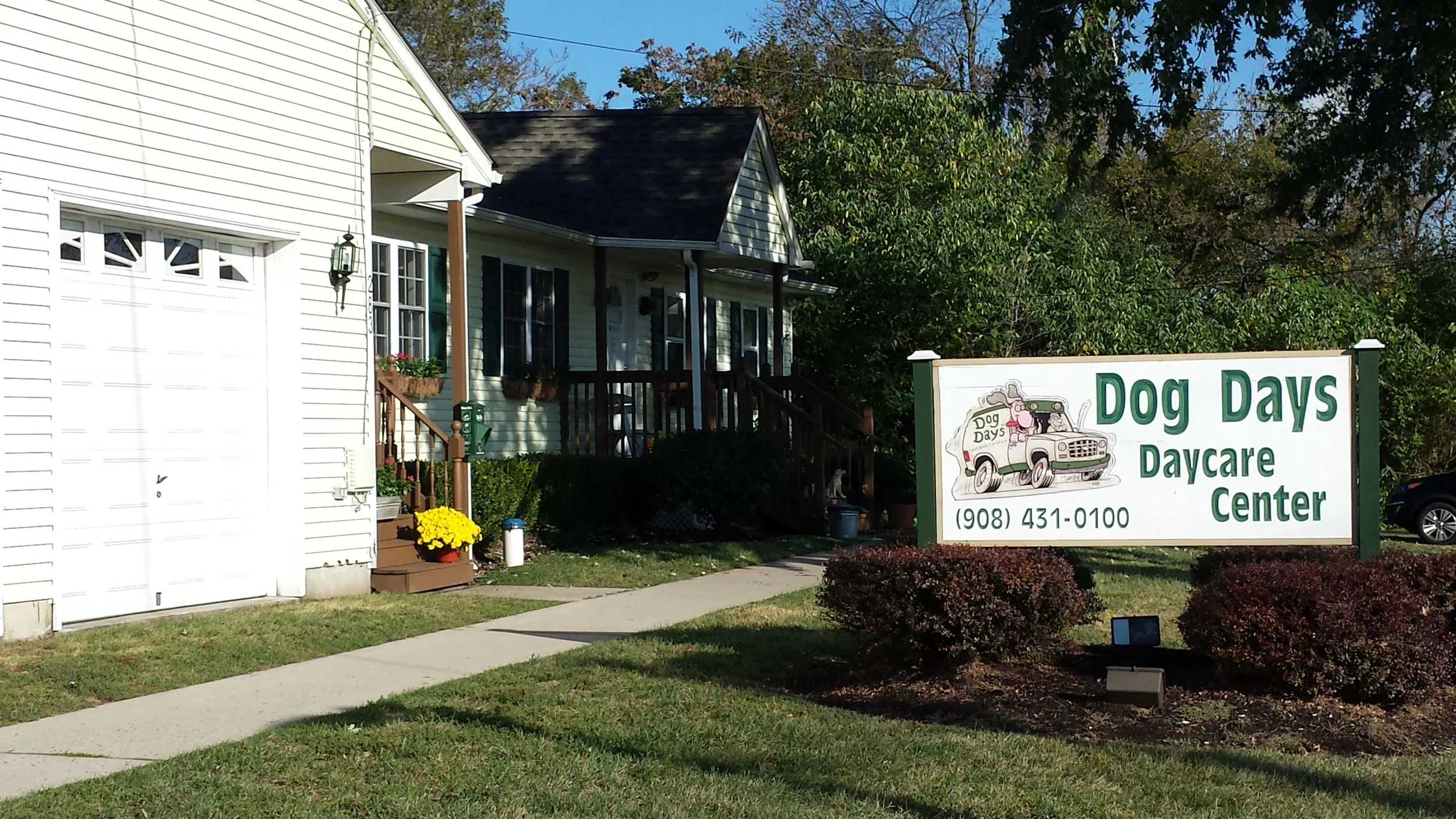 We're 70 In Dog Years!