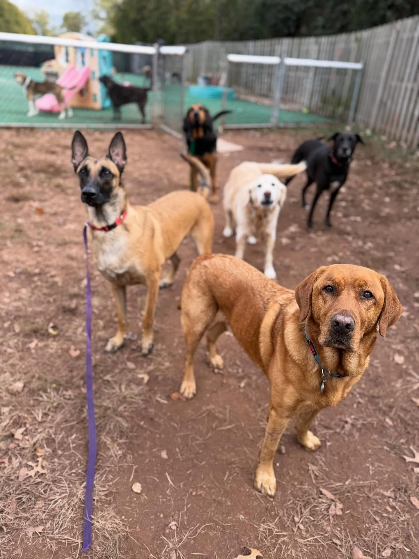 Pose for the camera! 📸☺️