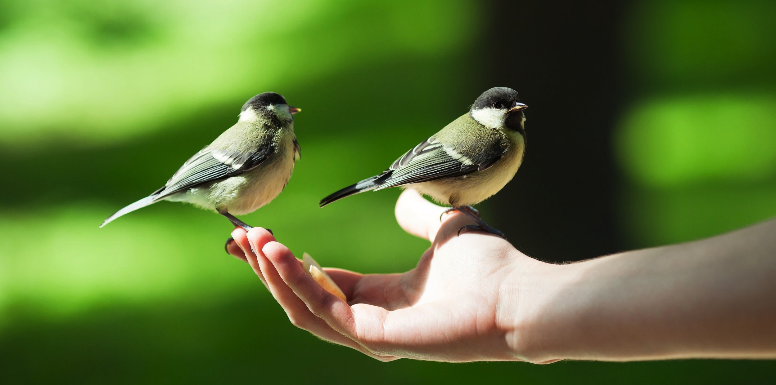 Confianza, colaboración y reparto de beneficios