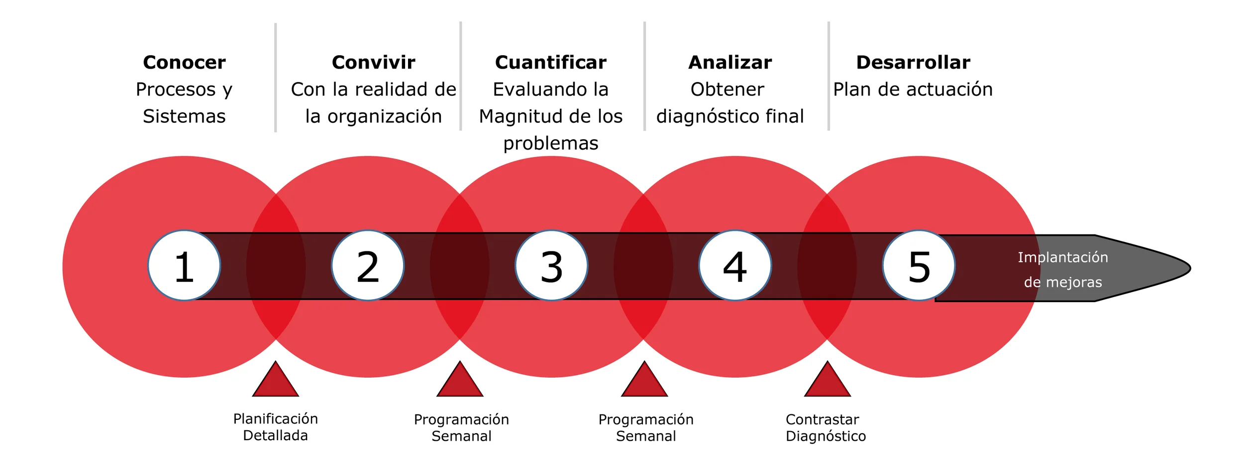fases