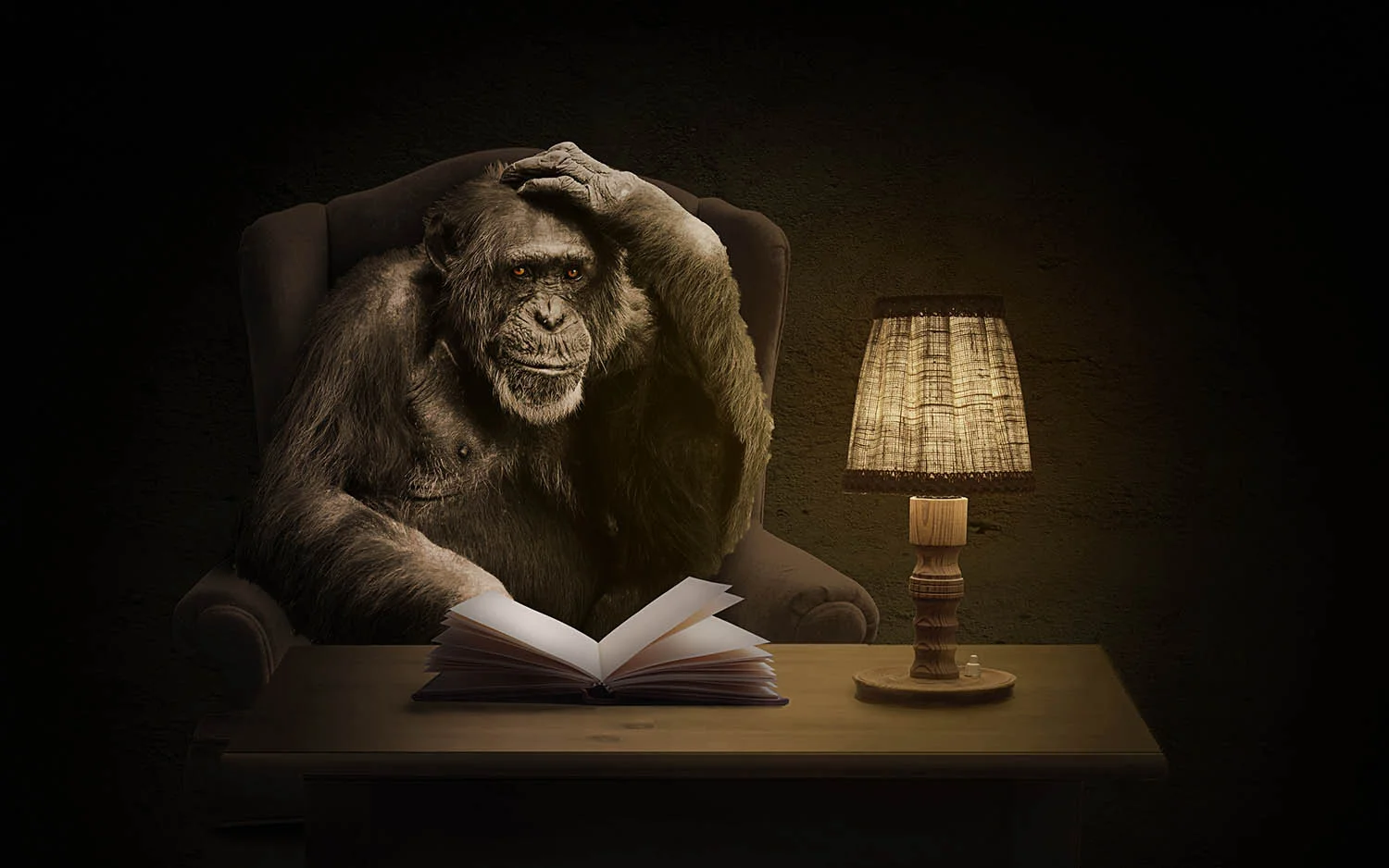 Ser inteligente no implica hacer cosas inteligentes