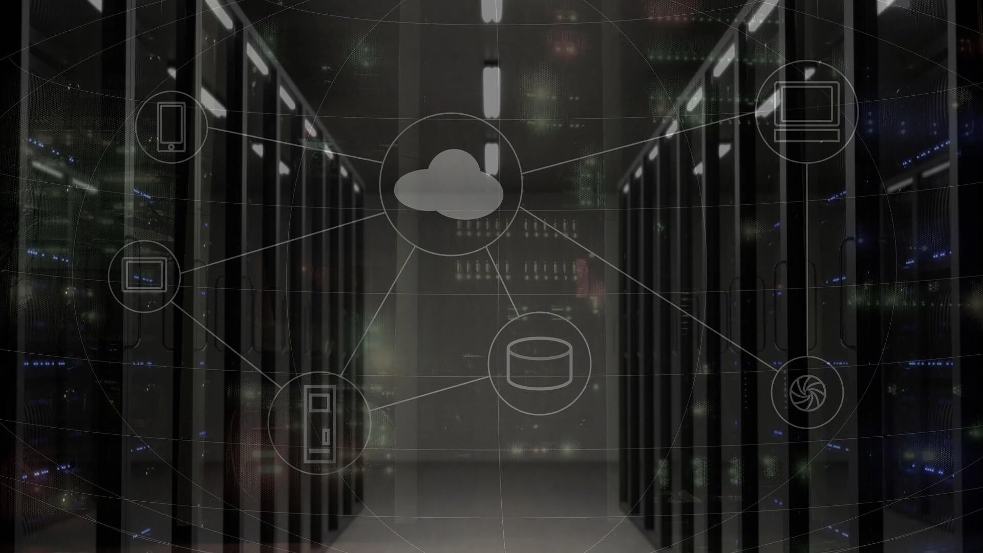 Early adopters &amp; rapid changers