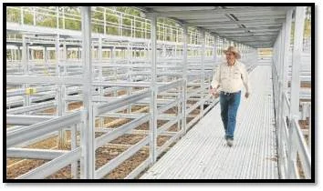 Cutting Edge Yards Worth Investment