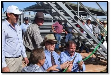 Australia's most advanced saleyards open near Wodonga in northern Victoria